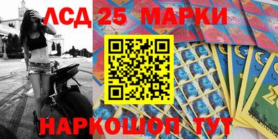 дмт Новокубанск