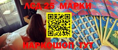 твердый Новодвинск