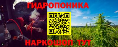 твердый Новодвинск