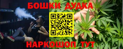 дмт Новокубанск