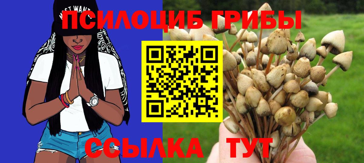 Псилоцибиновые грибы GOLDEN TEACHER  Галлюциногенные грибы ЛСД  Вход с VPN  Беслан 