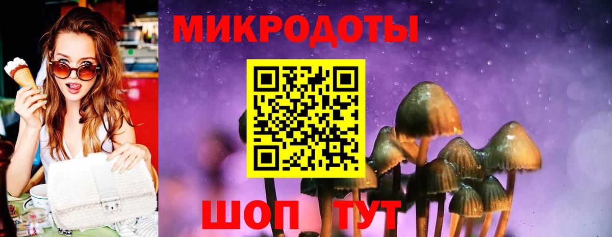 Псилоцибиновые грибы мицелий Беслан